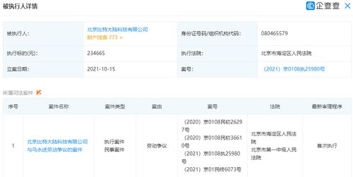 比特大陸公司新增被執行人 執行標的為23萬