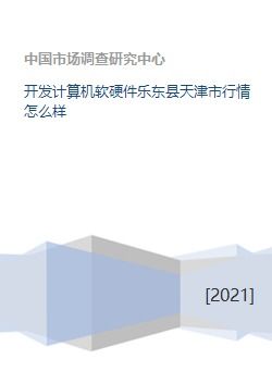 開發計算機軟硬件樂東縣天津市行情怎么樣